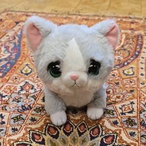 Little Live Pets Ouchies Interactive Kitten